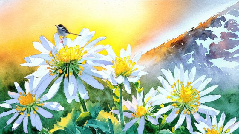A painting of a small, colorful songbird perched on a bright yellow daisy flower. The bird's feathers are detailed, and the background is soft and calming.