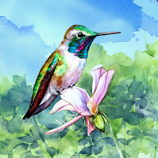 Kingfisher's Catch
