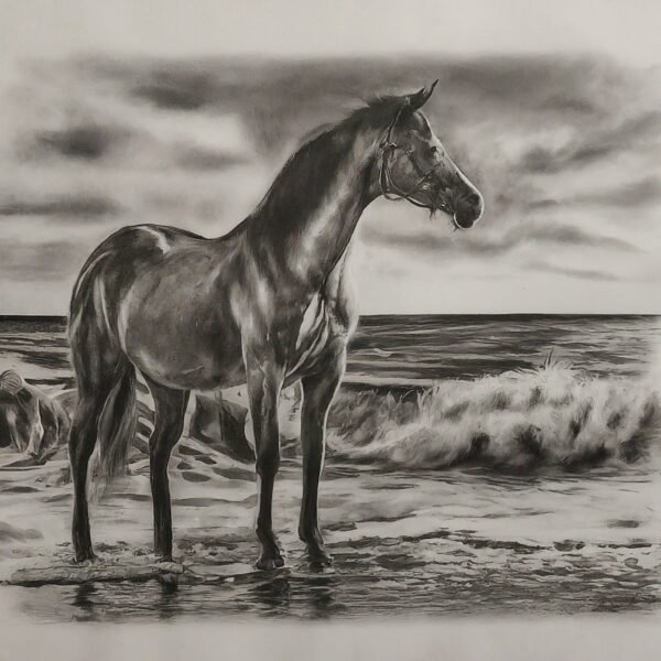 Equine Majesty